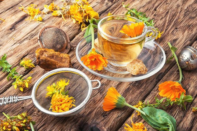 Чай из календулы: полезные и вредные свойства чая