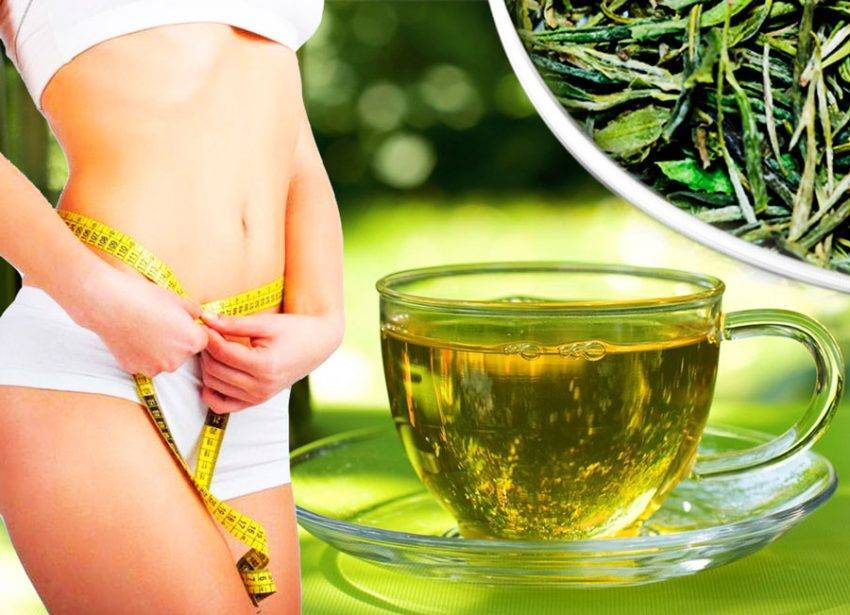 Чай «канкура» для похудения: польза и противопоказания