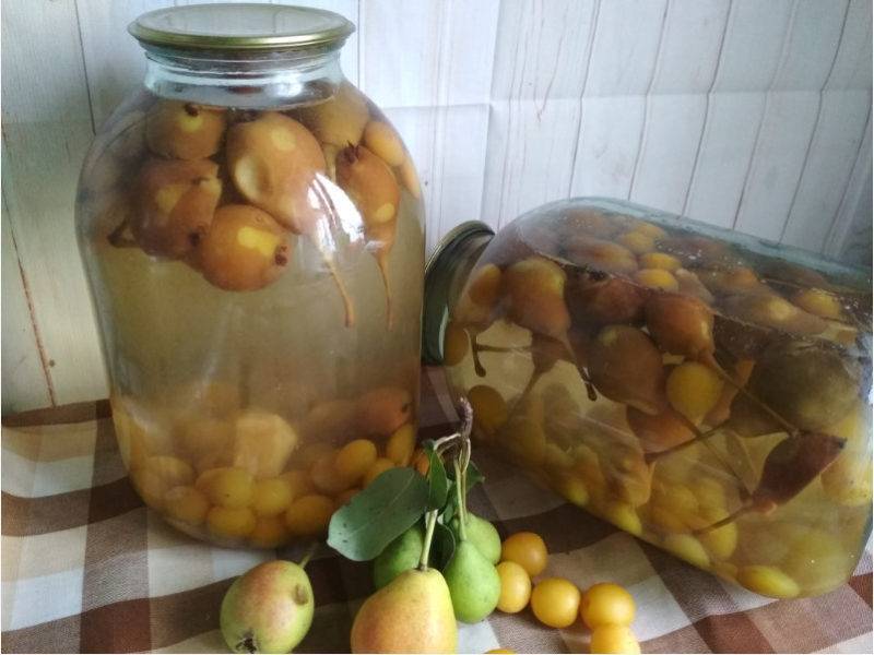 Компот из груш на зиму - 10 рецептов на 3-х литровую банку с пошаговыми фото