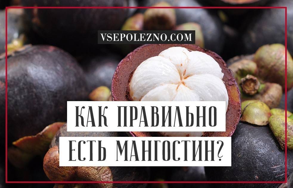 Мангустин — польза и вред, состав, калорийность. как едят мангустин, как принимать для похудения. как вырастить мангустин дома