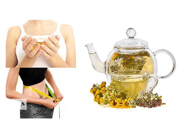 Травяные чаи для похудения в домашних условиях, рецепты