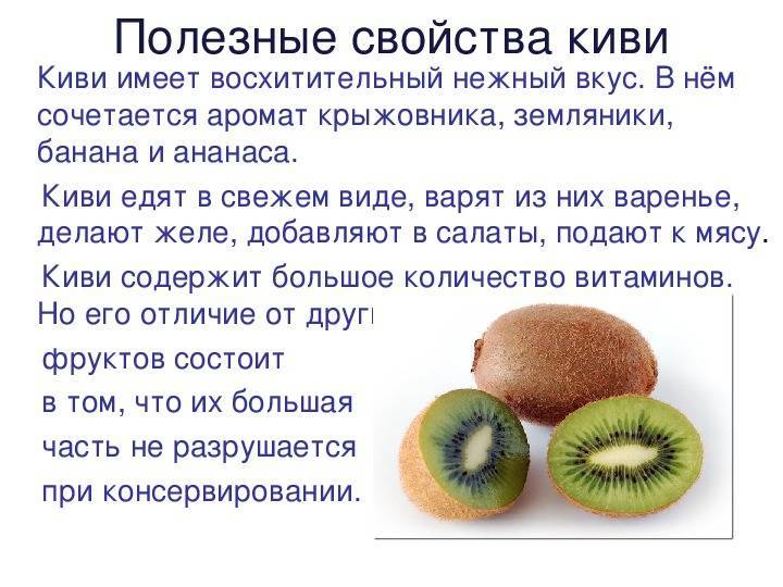 Киви фрукты польза и вред, состав и противопоказания, фото
