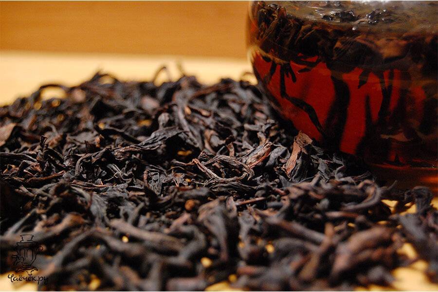 Как заварить черный чай и сохранить его полезные свойства