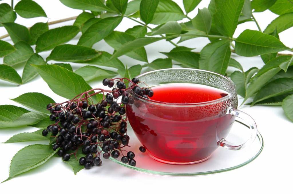 Как приготовить вкусный и полезный чай из листьев смородины (черной, красной)