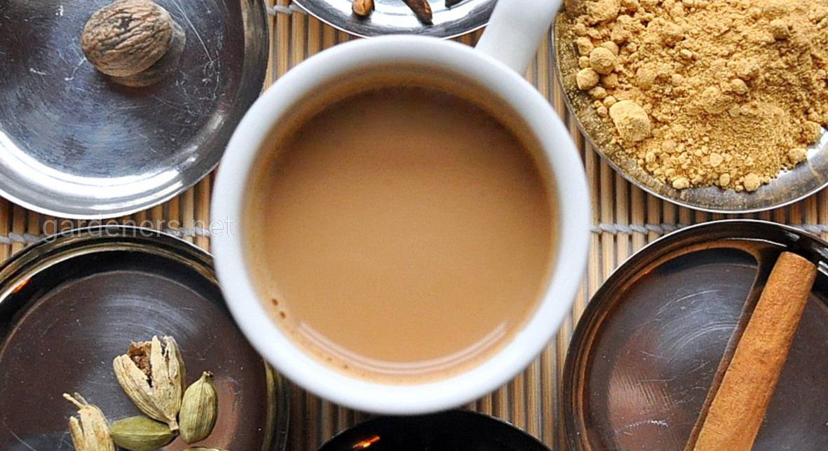 Чай масала: состав, рецепт, польза для организма