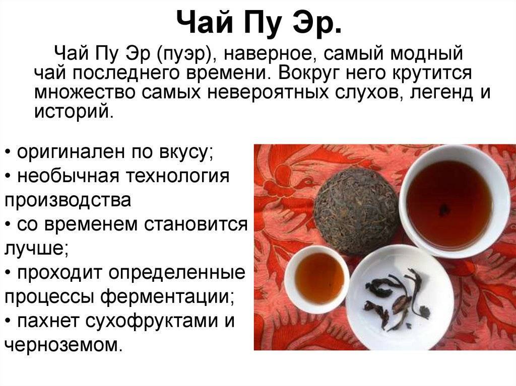 Черный чай шу-пуэр: польза и вред, эффект, отзывы, отичие от шэн