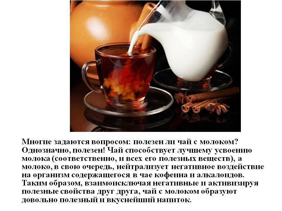 Чай с молоком: польза и вред, калорийность, рецепты приготовления, отзывы