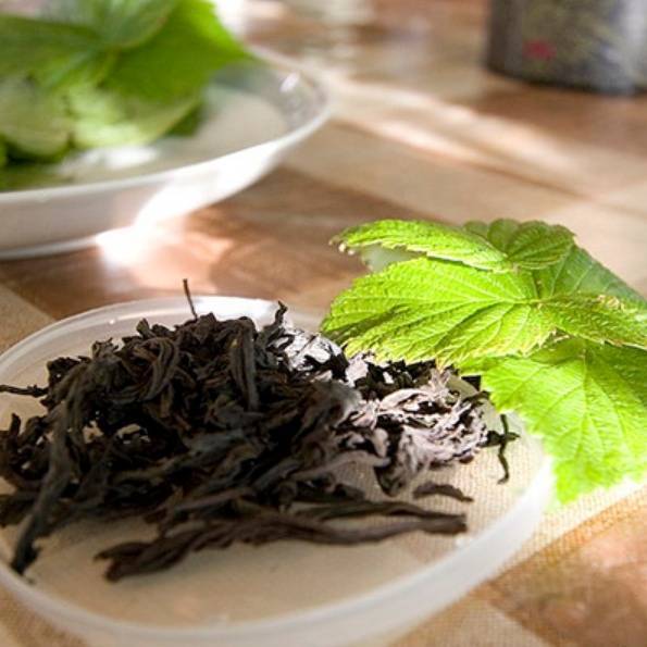 Оливковый чай из турции польза и вред - основные характеристики