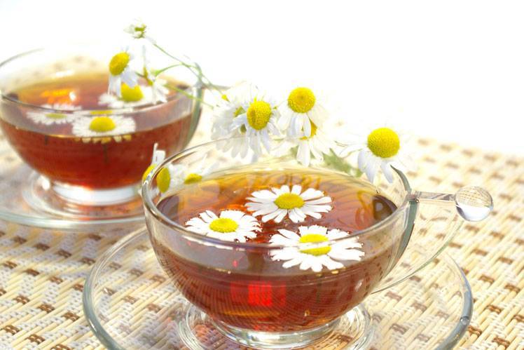 7 полезных для организма свойств чая из ромашки. вред