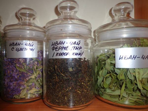 Из каких трав можно сделать чай в домашних условиях