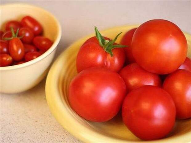 Как и чем опрыскивать томаты: правила обработки и ассортимент средств | baltija.eu