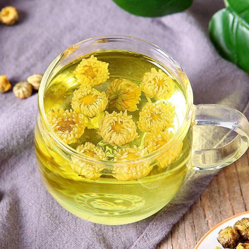 Цветы хризантемы: польза, вред, рецепты блюд и напитков