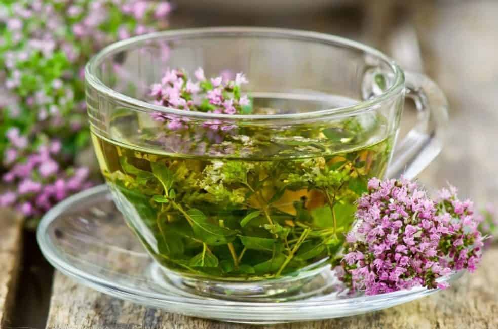 Целебный чай с шалфеем — домашние  рецепты