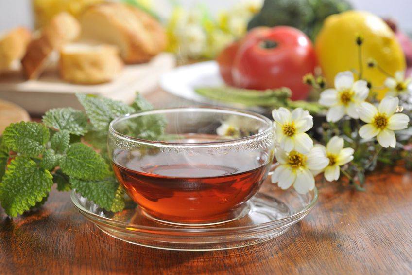 Польза и вред от чая с мелиссой для организма