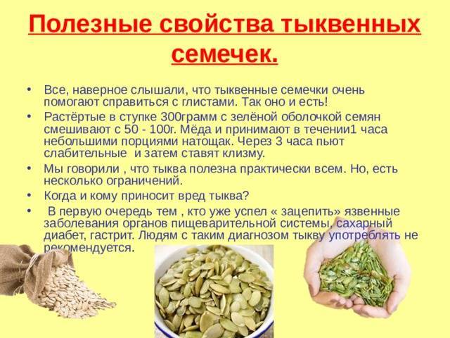 Семечки тыквы: польза, вред и калорийность | food and health