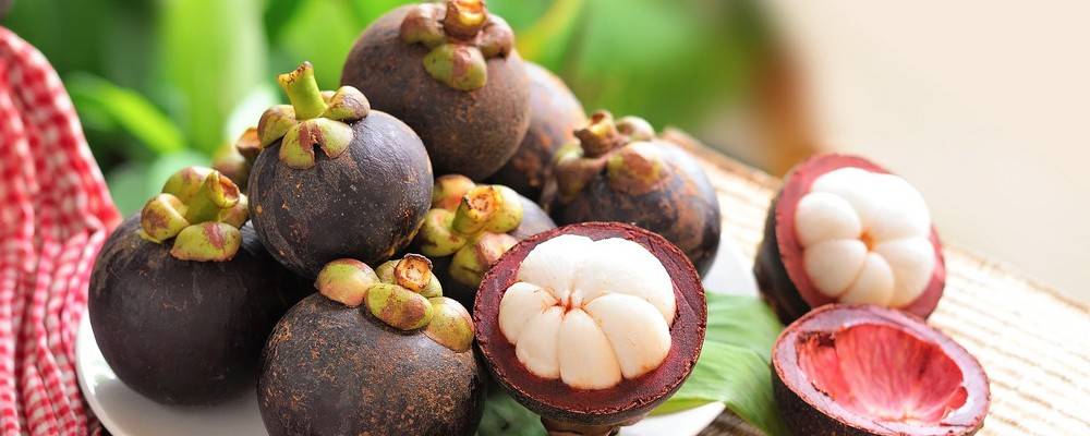 Мангостин (мангостан): польза и вред фрукта | food and health
