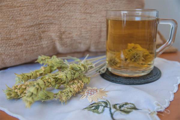 Мурсальский чай: полезные свойства и правила заваривания