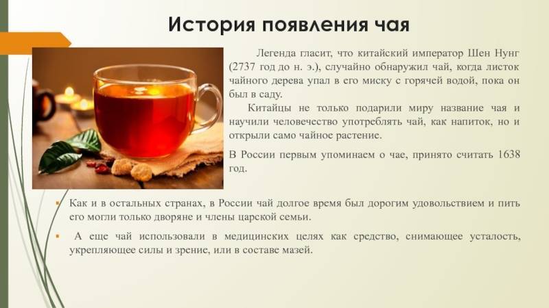История чая: коротко о самом главном