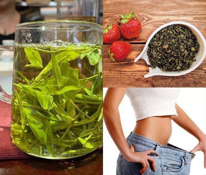 Зеленый чай: польза, вред и калорийность | food and health