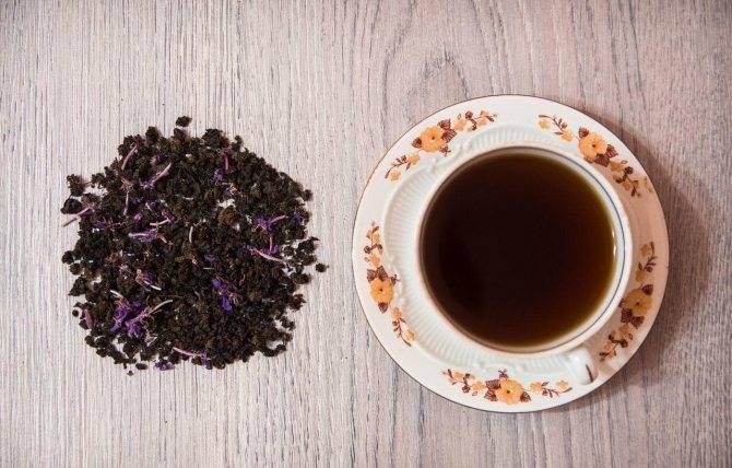 Иван чай - полезные свойства и противопоказания, фото, ферментация