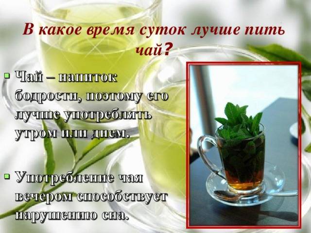 Зеленый чай на ночь: можно ли пить перед сном, польза и вред