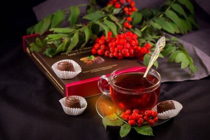 Чай из рябины: полезные свойства, противопоказания, рецепты чая с рябиной красной