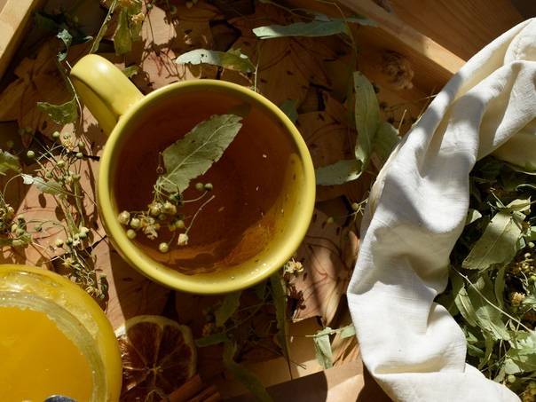 Липовый чай: полезные свойства для взрослых и детей