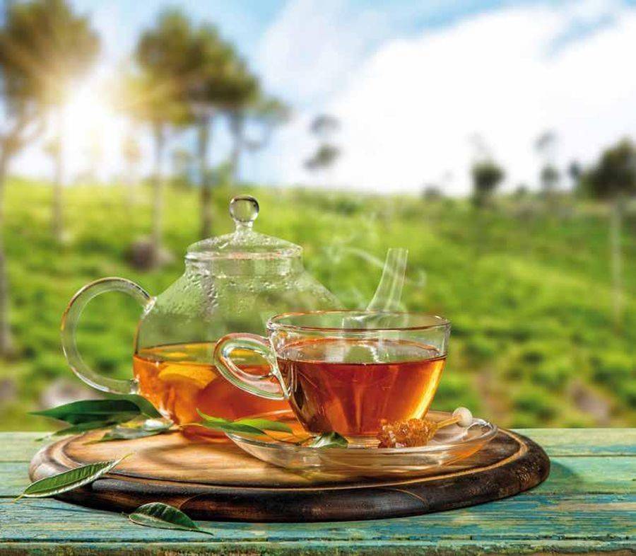 10 самых вкусных сортов чая