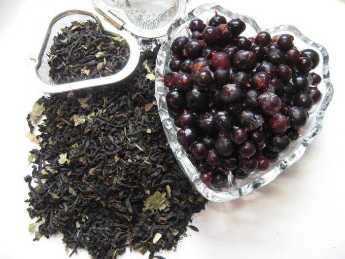 Чай из листьев вишни польза и вред, свойства для здоровья