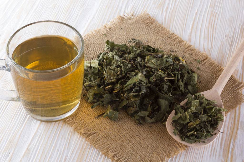 Вкусно и полезно — лечебные свойства чая с фенхелем, правила его приготовления и приема