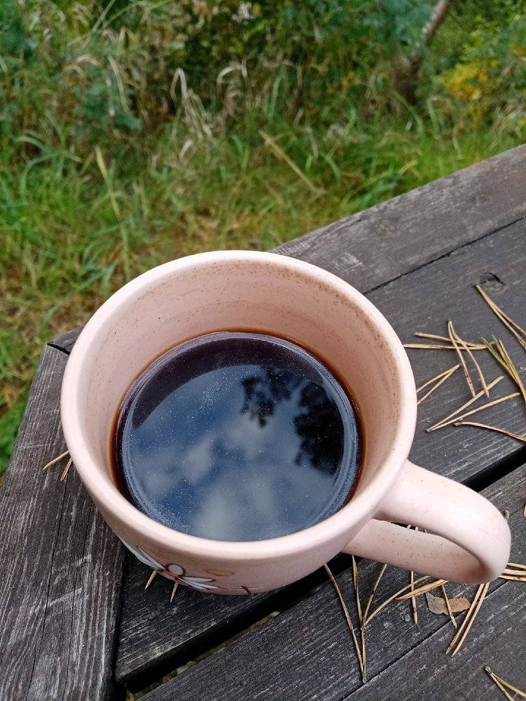 Как использовать габет – сифон для заваривания кофе