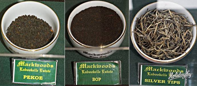 Цейлонский чай из шри ланки все фирмы - подробнее о чае