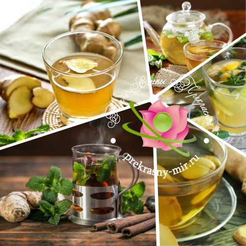 Полезный имбирный чай: рецепты для похудения и здорового образа жизни