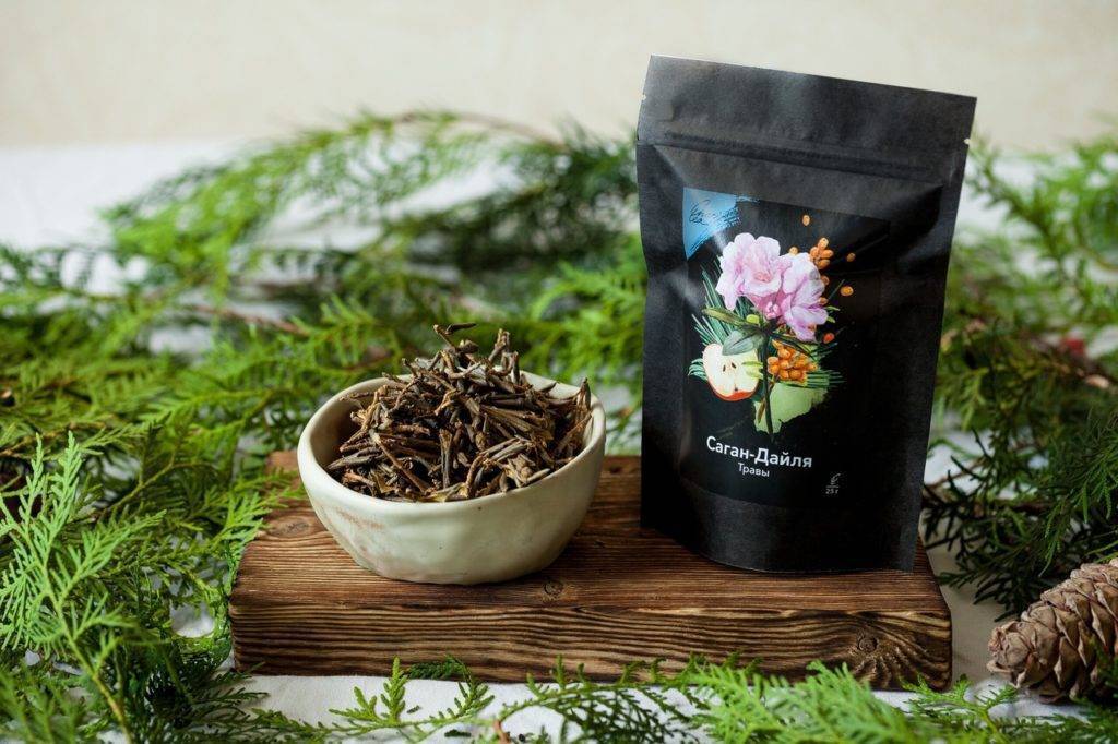 Все о лекарственной траве саган-дайля: как заваривать чай, полезные свойства, противопоказания и отзывы