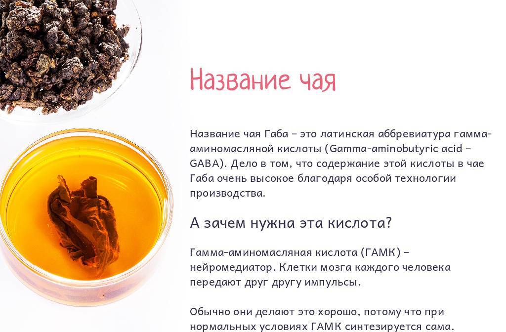 Габа-чай: вкусовые качества, правила заваривания, польза и вред для организма