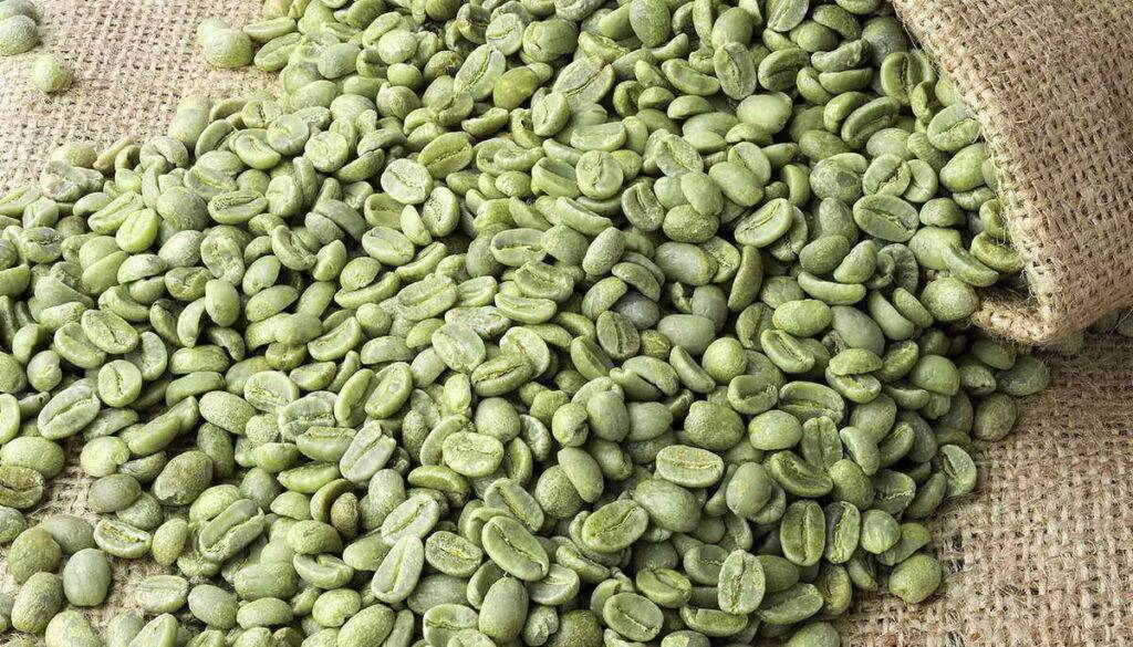 Зеленый кофе – польза и особенности употребления