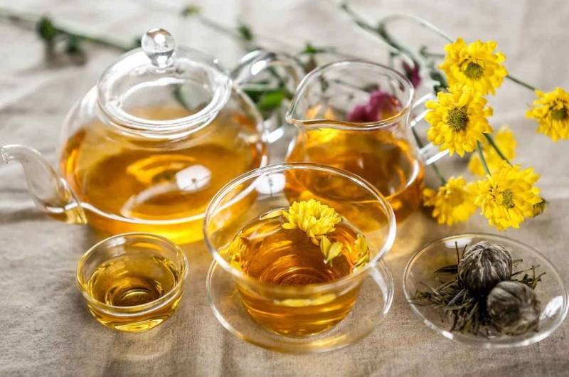 Хризантемовый чай – чем полезен и как заваривать