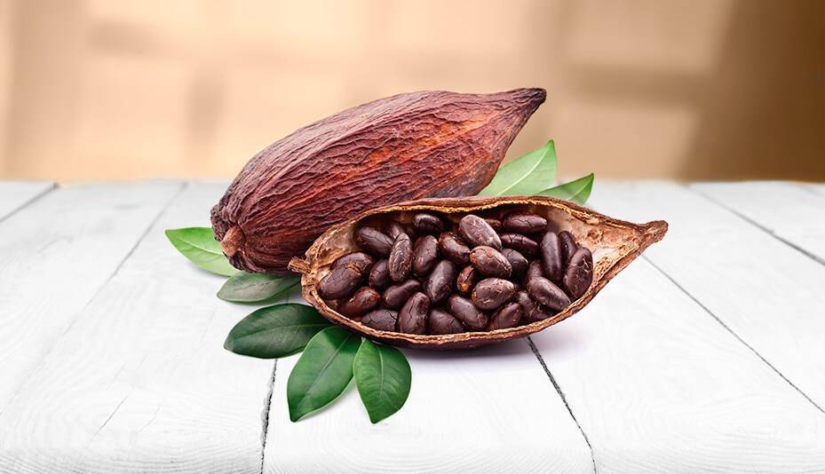 Какой выбрать натуральный какао-порошок, рейтинг лучших сортов