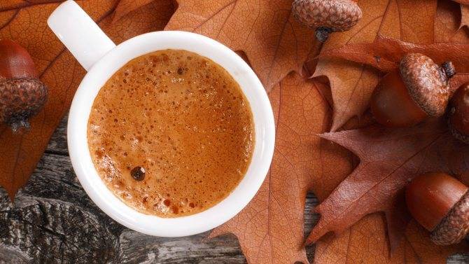Кофе из желудей: польза и рецепт приготовления