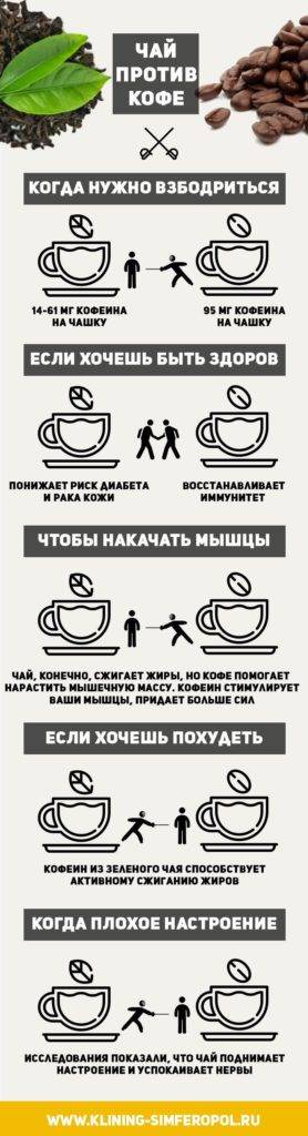 Что полезнее: чай или кофе, а также что лучше пить утром для бодрости и почему