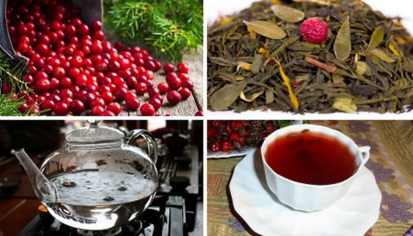 Брусничный чай и его польза для организма