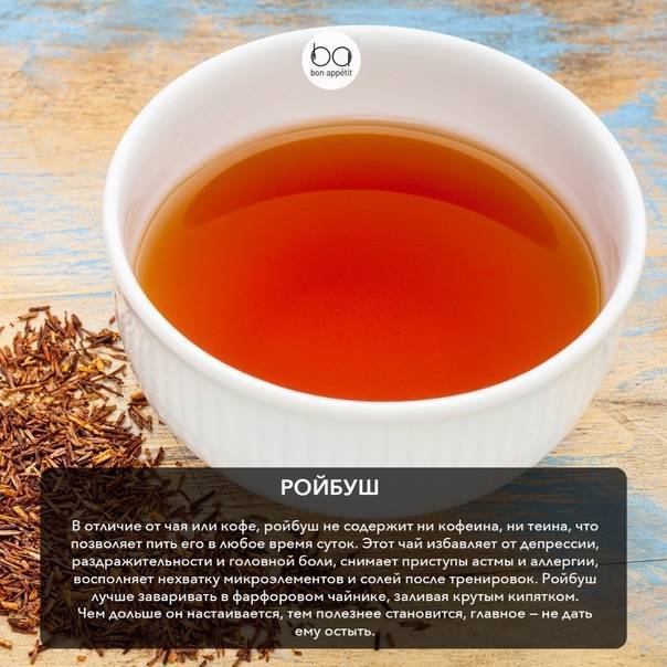 Чай ройбуш: полезные свойства и побочные эффекты – lifekorea.ru