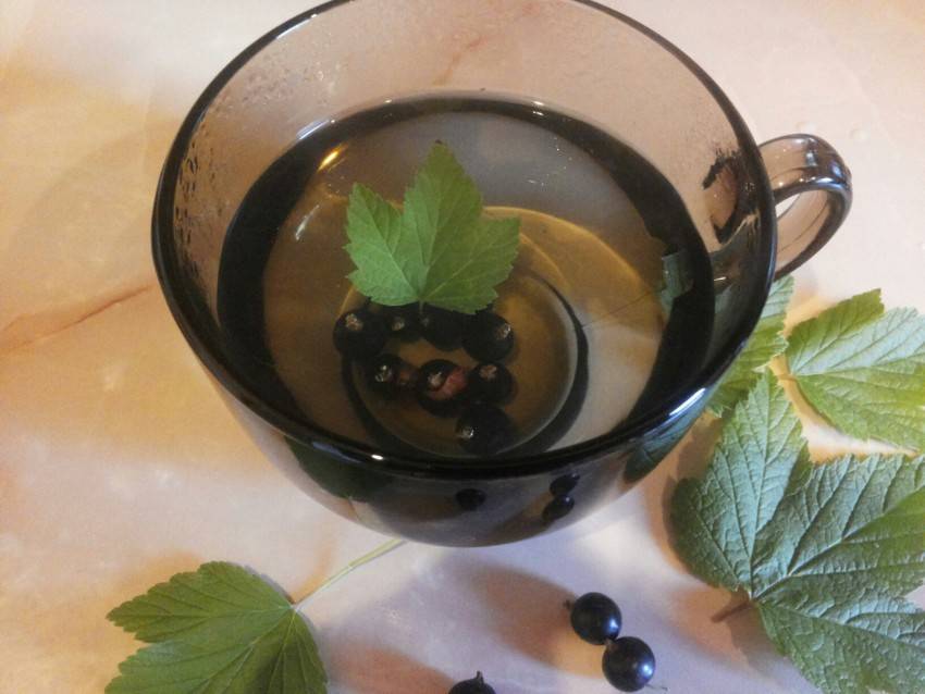 Чай из листьев???? смородины: польза и вред, полезные свойства, противопоказания