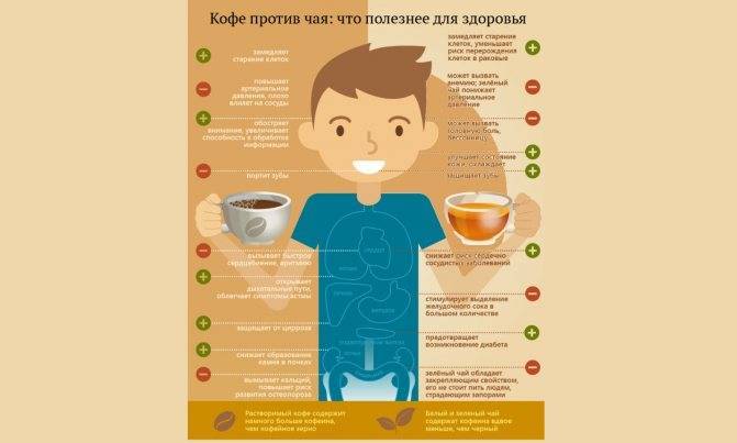 Кофе и поджелудочная железа: действие продукта на орган и альтернатива кофеина