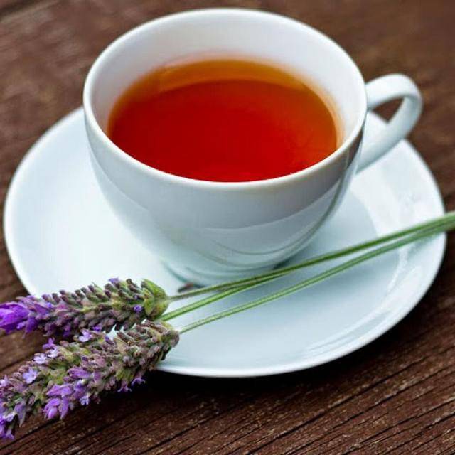 Чай с лавандой — польза и вред для организма