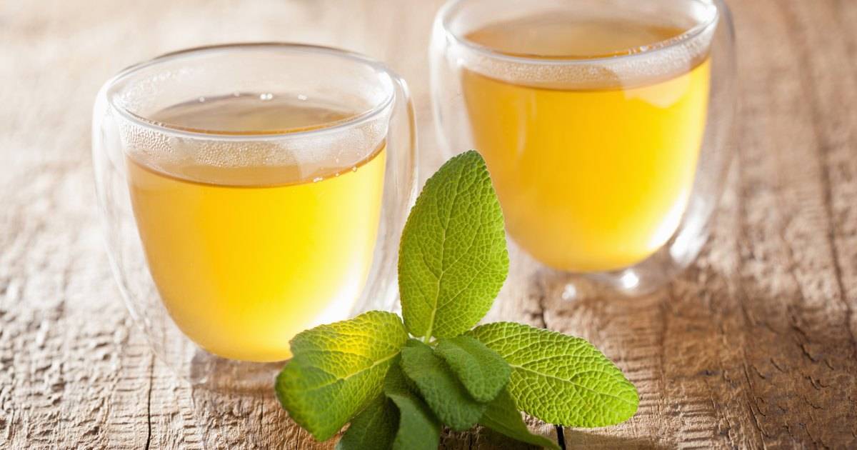 Чай из шалфея — польза и вред, как пить и заваривать