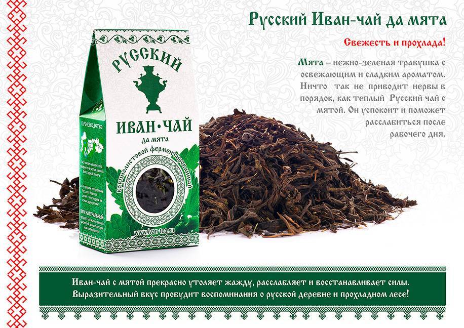 Иван-чай опасен, или кому и чем на самом деле может быть вреден кипрей
