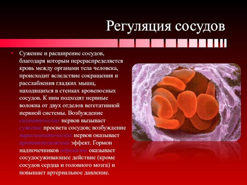 Диета №10 – при заболеваниях сердечно-сосудистой системы - здоровая россия