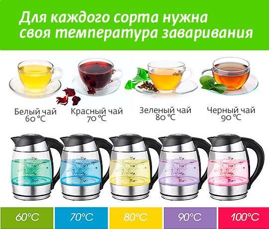 Грузинский чай: сорта, как правильно заваривать