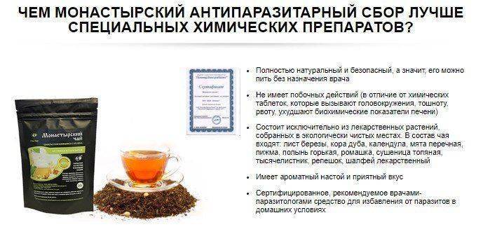 Монастырский чай от простатита: состав трав и рецепт приготовления